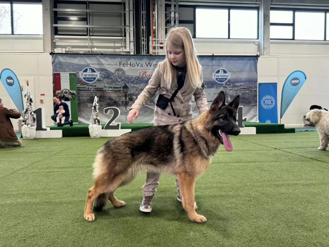 Emlék a 2026-os FeHoVa-ról 