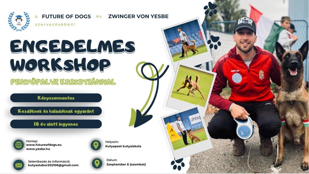 Engedelmes workshop