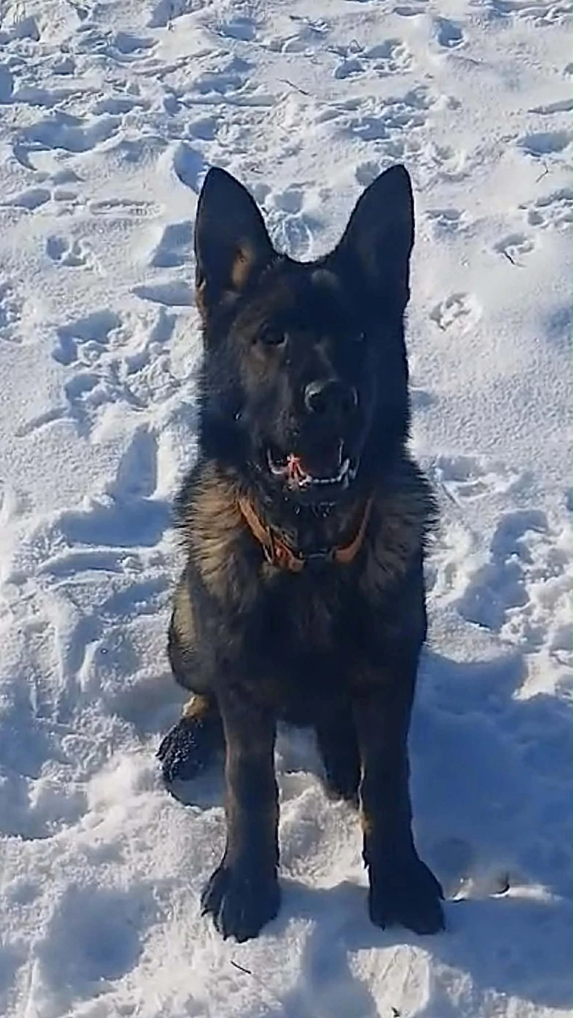 Hamarosan fél éves az 