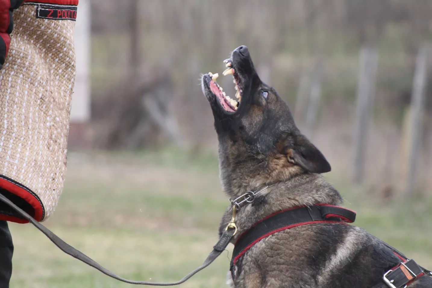 Munkakutyás Tábor 2026