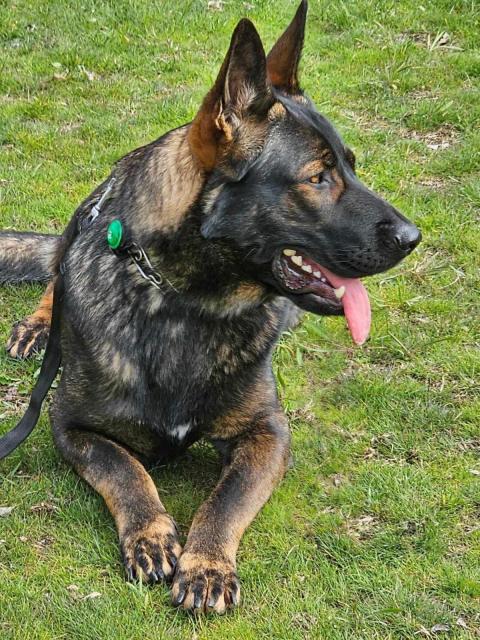 Nero von Yesbe