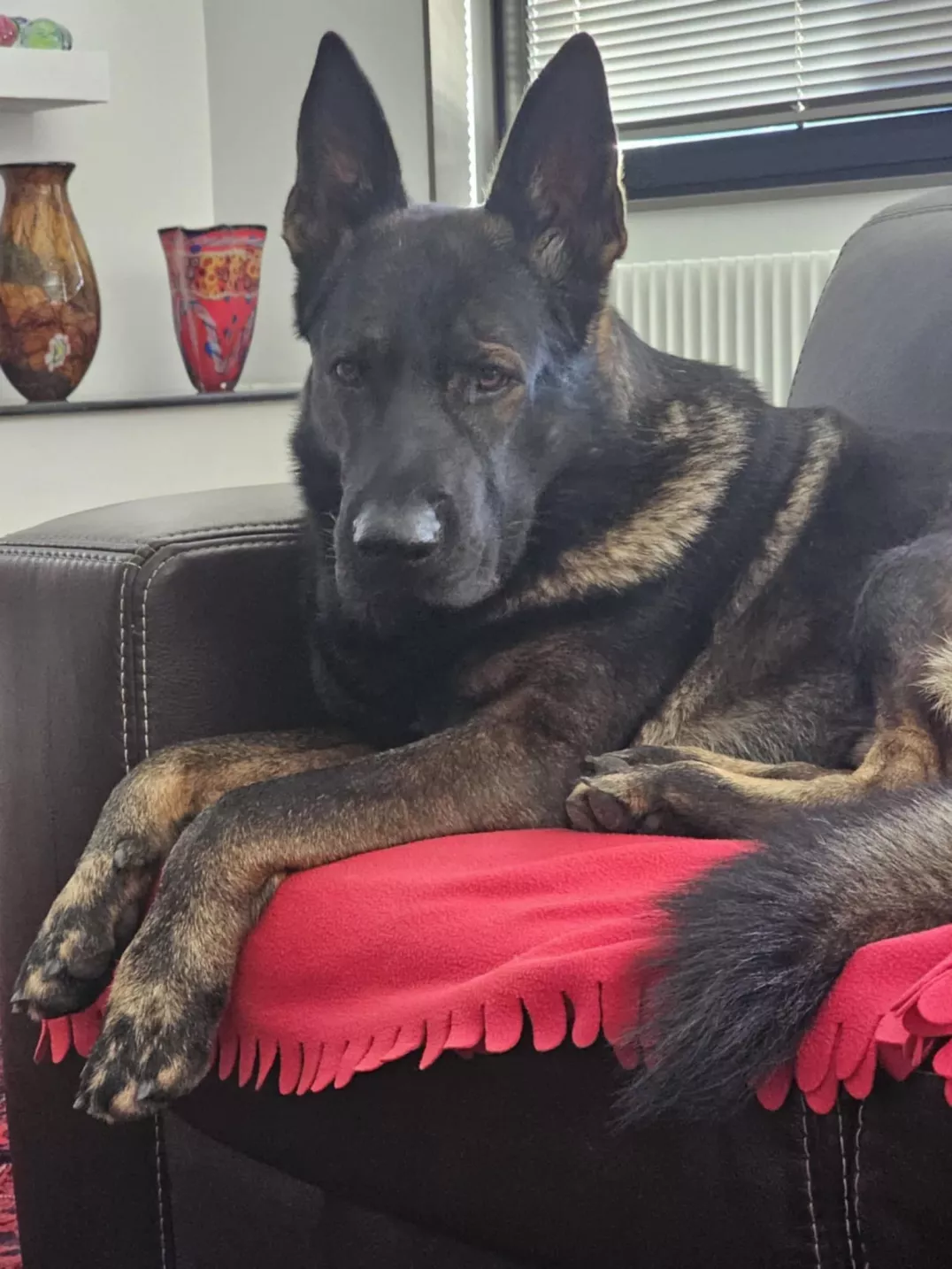 Nero von Yesbe