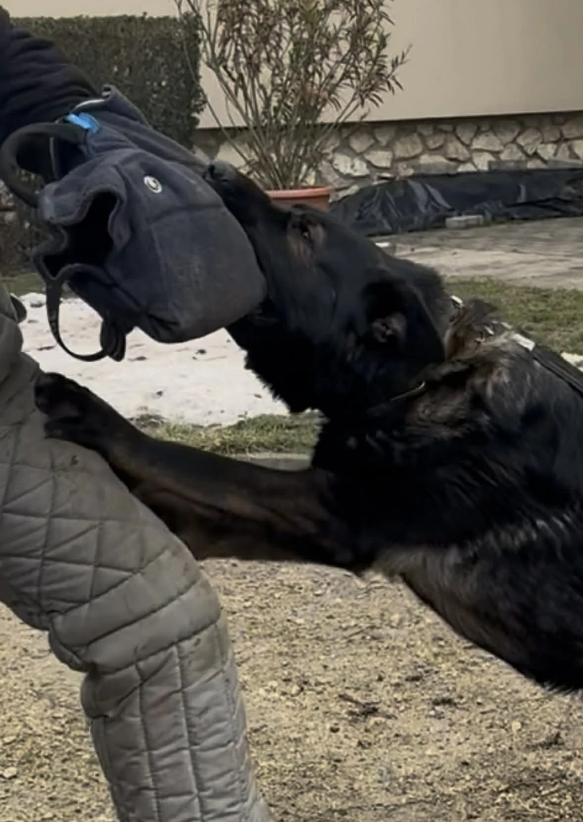 Old DDR Natasa von Yesbe protection work