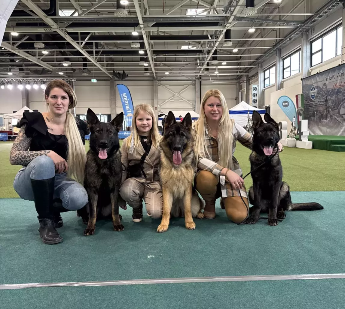 Ordasaink a FEHOVÁ-n