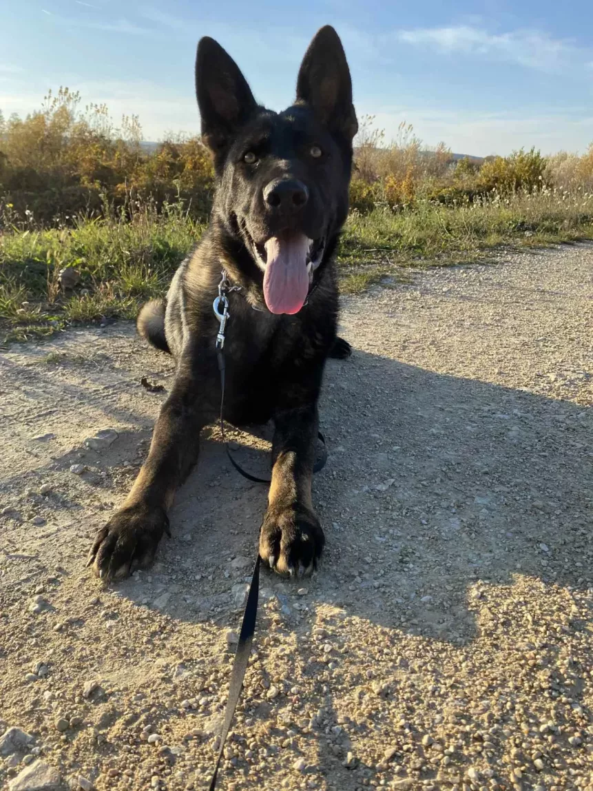 Pit von Yesbe Porthos von Yesbe