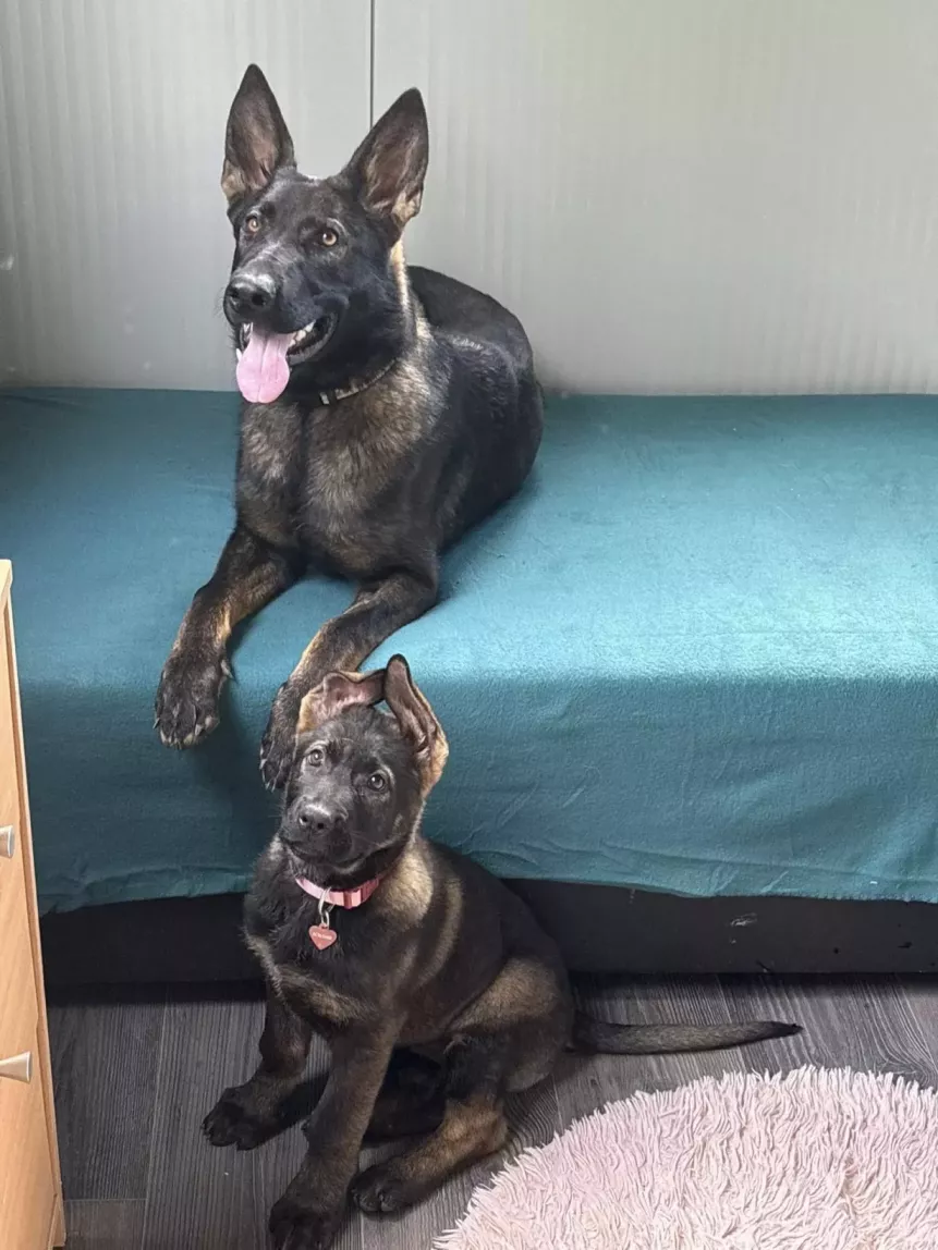 Reyna & Prada von Yesbe