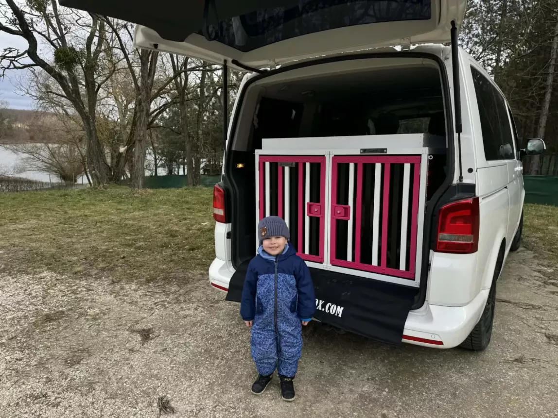 Schultz Boxra váltottunk