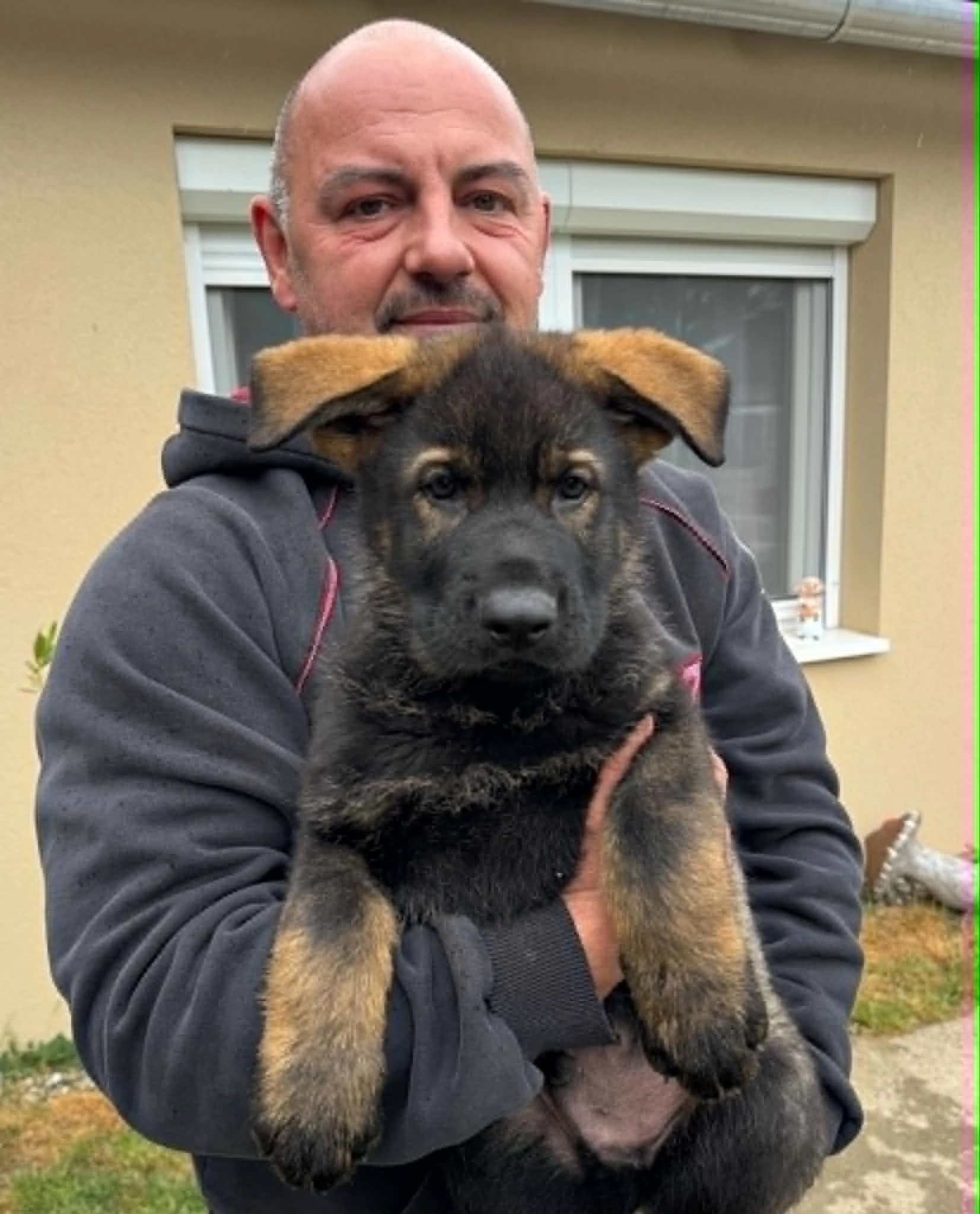 Stanyislav von Yesbe 8 weeks old